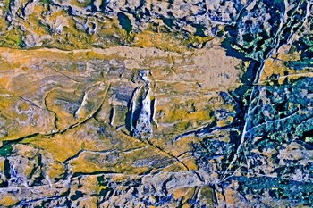 A 295C